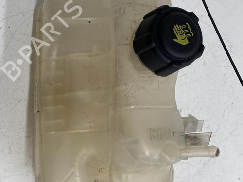 Used Expansion tank RENAULT MEGANE III Coupe (DZ0/1_) 1.6 dCi (DZ00, DZ12, DZ2A, DZ13) (130 hp) 26452160