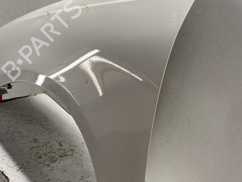 Used Left front fenders Left front fenders VW POLO IV (9N_, 9A_) [2001-2014] 34149438 34149438