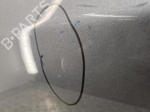 Left rear door RENAULT MEGANE III Hatchback (BZ0/1_, B3_) 1.5 dCi (BZ09, BZ0D, BZ1W, BZ29, BZ14) | BP22854215C4 