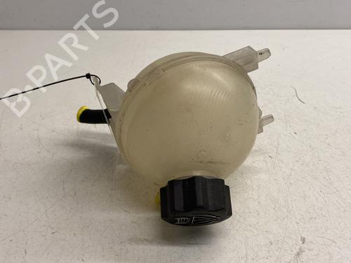 Used Expansion tank CITROËN C4 Picasso I MPV (UD_) 2.0 HDi 138 (136 hp) 29299423