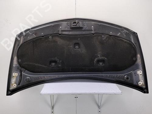 Hood RENAULT CLIO III (BR0/1, CR0/1) 1.5 dCi (C/BR0G, C/BR1G) | BP22856491C1 