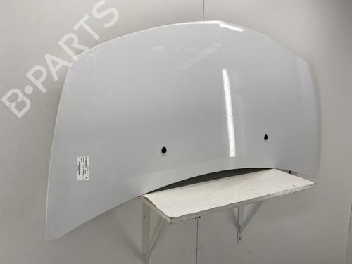 Used Hood RENAULT CLIO III (BR0/1, CR0/1) 1.5 dCi (C/BR0G, C/BR1G) (68 hp) 22852103