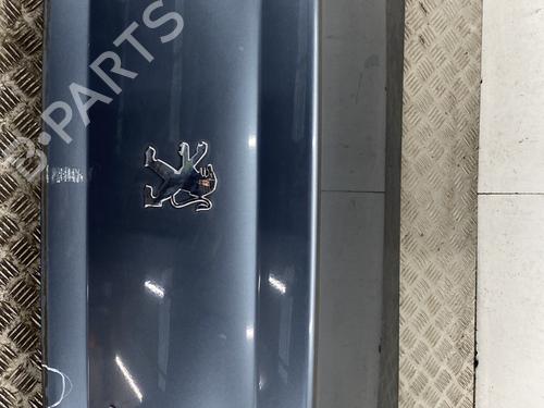 Used Tailgate PEUGEOT 407 (6D_) 2.0 HDi 135 (6DRHRH, 6DRHRE, 6DRHRG, 6DRHRJ) (136 hp) 23831163