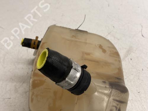 Expansion tank RENAULT TWINGO II (CN0_) 1.2 16V (CN04, CN0B) | BP29528994C120 