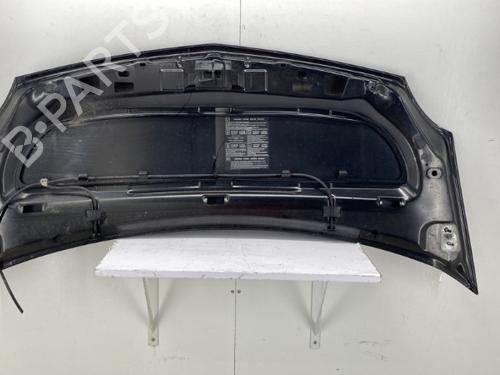 Hood RENAULT KANGOO / GRAND KANGOO II (KW0/1_) 1.5 dCi (KW0C, KW2C, KW4C) | BP22862212C1 
