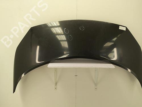 Hood RENAULT SCÉNIC II (JM0/1_) 1.6 (JM0C, JM0J, JM1B) | BP22856495C1 