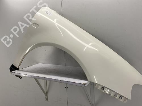 Right front fenders AUDI A3 (8L1) 1.9 TDI | BP22859287C42 