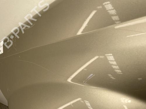 Left front fenders RENAULT MEGANE II Coupé-Cabriolet (EM0/1_) 1.9 dCi | BP22855207C41 