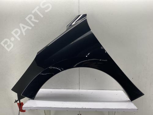 Used Left front fenders PEUGEOT 207 (WA_, WC_) 1.4 HDi (68 hp) 28351894