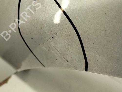 Right front fenders RENAULT CLIO III (BR0/1, CR0/1) 1.5 dCi | BP22850180C42 