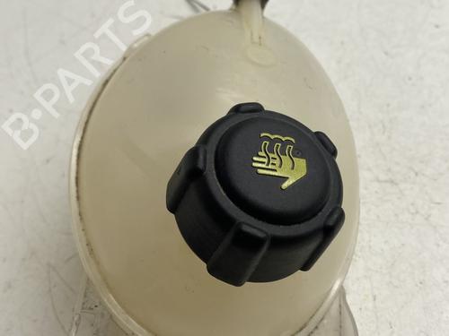 Expansion tank RENAULT CLIO IV (BH_) 1.5 dCi 90 | BP27316634C120 