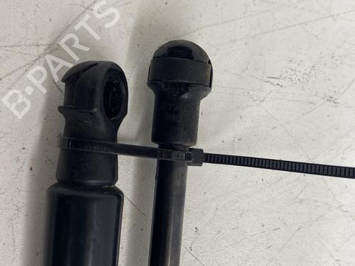 Hood lift support RENAULT SCÉNIC IV (J9_) 1.2 TCe 115 | BP26683738C139 