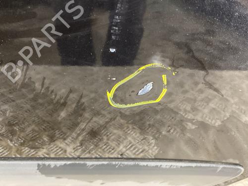 Left rear door SKODA FABIA II (542) 1.2 | BP23831514C4 