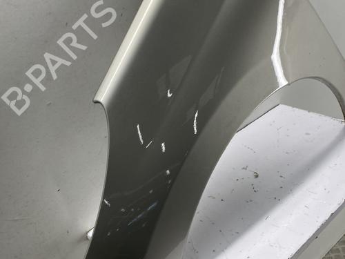 Left front fenders PEUGEOT 207 (WA_, WC_) 1.4 16V | BP29299458C41 