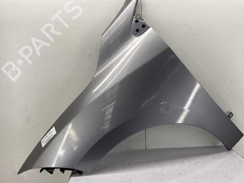 Left front fenders RENAULT MEGANE III Hatchback (BZ0/1_, B3_) 1.5 dCi (BZ09, BZ0D, BZ1W, BZ29, BZ14) | BP22851052C41 
