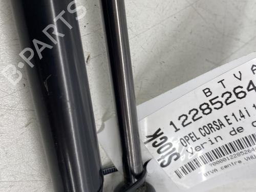 tailgate-lift-support-opel-corsa-e-x15-2014-36096918 main image