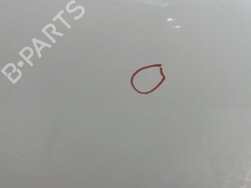 Right front door RENAULT CLIO II (BB_, CB_) 1.5 dCi (B/C2J) | BP29299495C3 