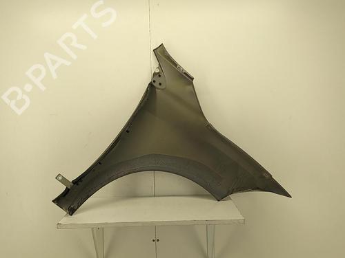 Left front fenders RENAULT MEGANE III Hatchback (BZ0/1_, B3_) 1.5 dCi (BZ09, BZ0D, BZ1W, BZ29, BZ14) | BP22856712C41 