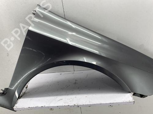 Used Right front fenders RENAULT LAGUNA II (BG0/1_) 1.9 dCi (BG1A, BG1W, BG0G) (110 hp) 29845282