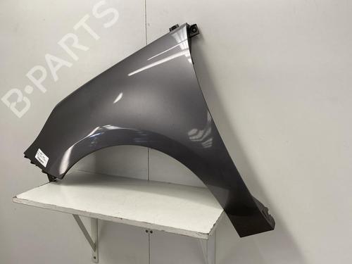 Left front fenders RENAULT SCÉNIC III (JZ0/1_) 1.5 dCi | BP22850113C41 
