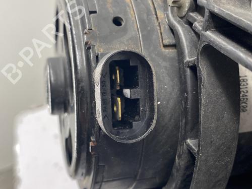 Radiator fan RENAULT LAGUNA II (BG0/1_) 1.9 dCi (BG1A, BG1W, BG0G) | BP29870439M35