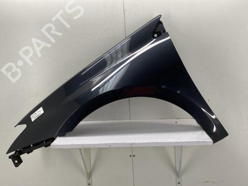 Used Left front fenders RENAULT LAGUNA III (BT0/1) 2.0 dCi (BT07, BT0J, BT14, BT1A, BT1S) (131 hp) 22862693