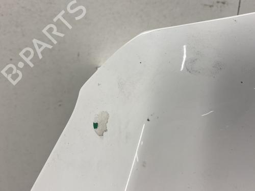 Used Hood Hood FORD KUGA II (DM2) 2.0 TDCi (150 hp) 32176335 32176335