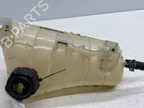 Used Expansion tank RENAULT KANGOO Express (FW0/1_) 1.5 dCi 85 (FW0K, FW0L, FW0B) (86 hp) 22860339