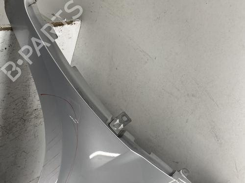 Right front fenders RENAULT CLIO III (BR0/1, CR0/1) 1.5 dCi (C/BR0G, C/BR1G) | BP26388528C42 