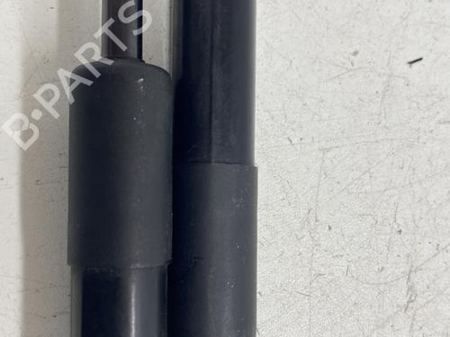 Hood lift support RENAULT SCÉNIC IV (J9_) 1.2 TCe 115 | BP26683738C139 