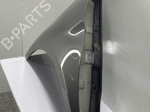 Left front fenders MERCEDES-BENZ B-CLASS Sports Tourer (W245) B 200 (245.233) | BP22860090C41 