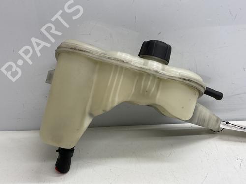 Expansion tank NISSAN JUKE (F15) 1.5 dCi | BP29299381C120 