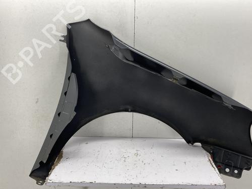Left front fenders VW GOLF V (1K1) 1.9 TDI | BP30174523C41