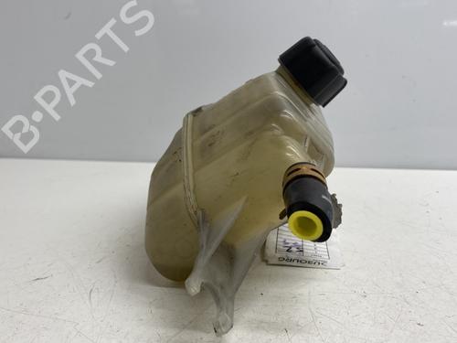 Expansion tank RENAULT CLIO III (BR0/1, CR0/1) 1.5 dCi (C/BR0G, C/BR1G) | BP25472718C120 