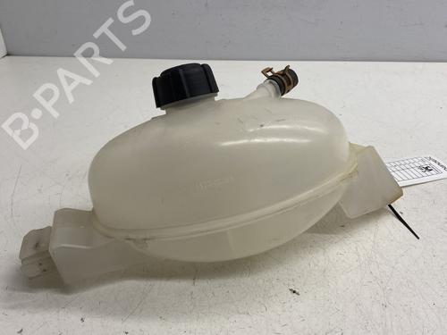 Expansion tank RENAULT MASTER III Platform/Chassis (EV, HV, UV) 2.3 dCi 145 FWD (EV0E, EV0F, HV0E, HV0F, UV0E, UV0F,... | BP30822693C120
