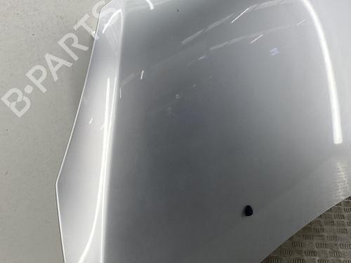 Used Hood Hood PEUGEOT 307 (3A/C) 1.6 16V (109 hp) 33738491 33738491