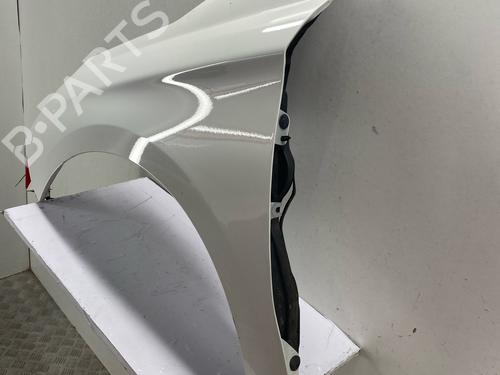 left-front-fenders-citroen-c4-ii-nc_-2009-36284902 main image
