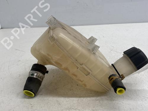Used Expansion tank RENAULT TWINGO II (CN0_) 1.2 16V (CN04, CN0B) (75 hp) 29528994