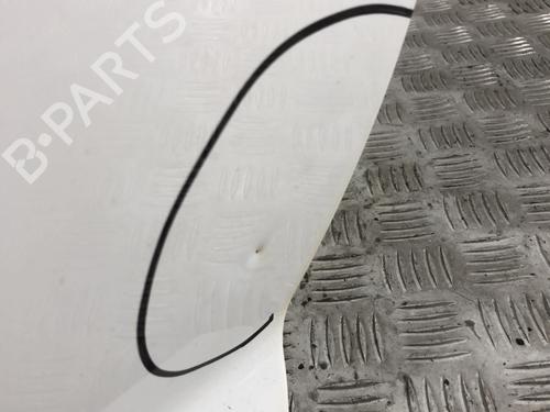 Left front door PEUGEOT 207 (WA_, WC_) 1.6 HDi | BP22852427C2 