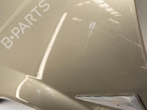 Left front fenders RENAULT MEGANE II Coupé-Cabriolet (EM0/1_) 1.9 dCi | BP22855207C41 