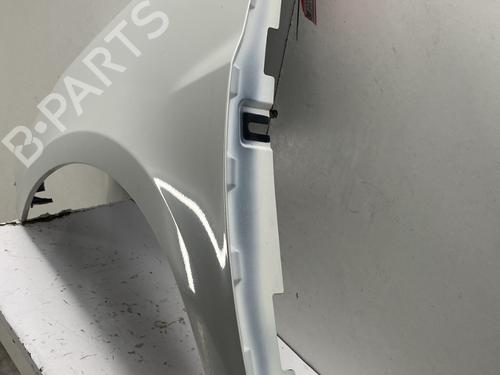 Left front fenders RENAULT CLIO III (BR0/1, CR0/1) 1.5 dCi (C/BR0G, C/BR1G) | BP29968946C41