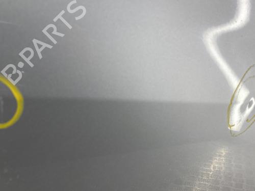 Right front door RENAULT CLIO III (BR0/1, CR0/1) 1.5 dCi (C/BR0G, C/BR1G) | BP29605004C3