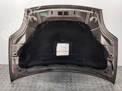 Hood FIAT BRAVO II (198_) 1.4 (198AXA1B) | BP22851729C1