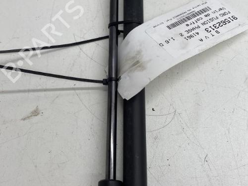 Tailgate lift support FORD FUSION (JU_) 1.6 TDCi | BP22861365C138 