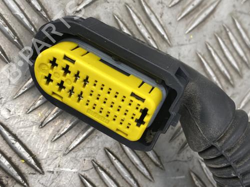 Right rear door RENAULT CLIO III (BR0/1, CR0/1) 1.2 16V (BR0P, CR0P) | BP29529059C5 