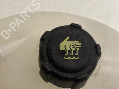 Expansion tank RENAULT MASTER III Platform/Chassis (EV, HV, UV) 2.3 dCi 145 FWD (EV0E, EV0F, HV0E, HV0F, UV0E, UV0F,... | BP30822693C120