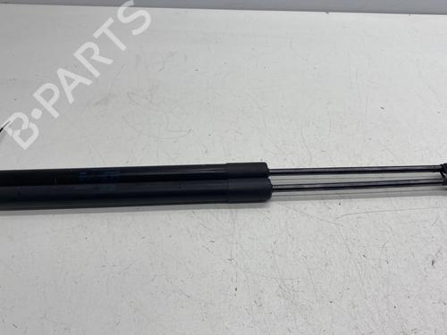 Used Tailgate lift support VW GOLF VII (5G1, BQ1, BE1, BE2) 1.4 TSI (140 hp) 25599194
