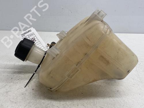 Expansion tank RENAULT TWINGO II (CN0_) 1.2 16V (CN04, CN0B) | BP29528994C120 