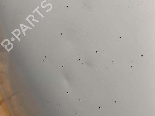 Hood RENAULT KANGOO Express (FW0/1_) 1.5 dCi 85 (FW0K, FW0L, FW0B) | BP22852581C1 