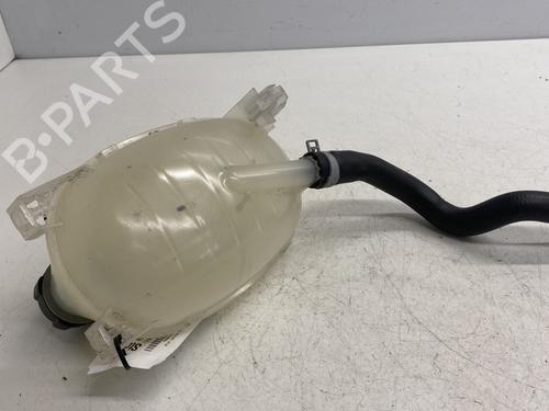 expansion-tank-renault-arkana-i-lcm_-ldn_-2019-27819279 main image